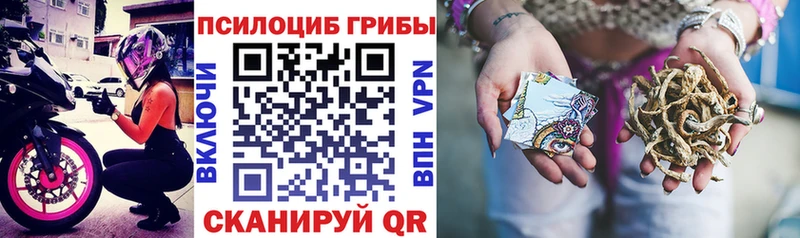 Купить закладки  Новоаннинский  Галлюциногенные грибы Psilocybine cubensis 